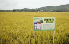 土壤墑情監測系統的應用效果怎么樣？