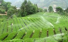 你知道怎么有效的節(jié)水灌溉嗎？